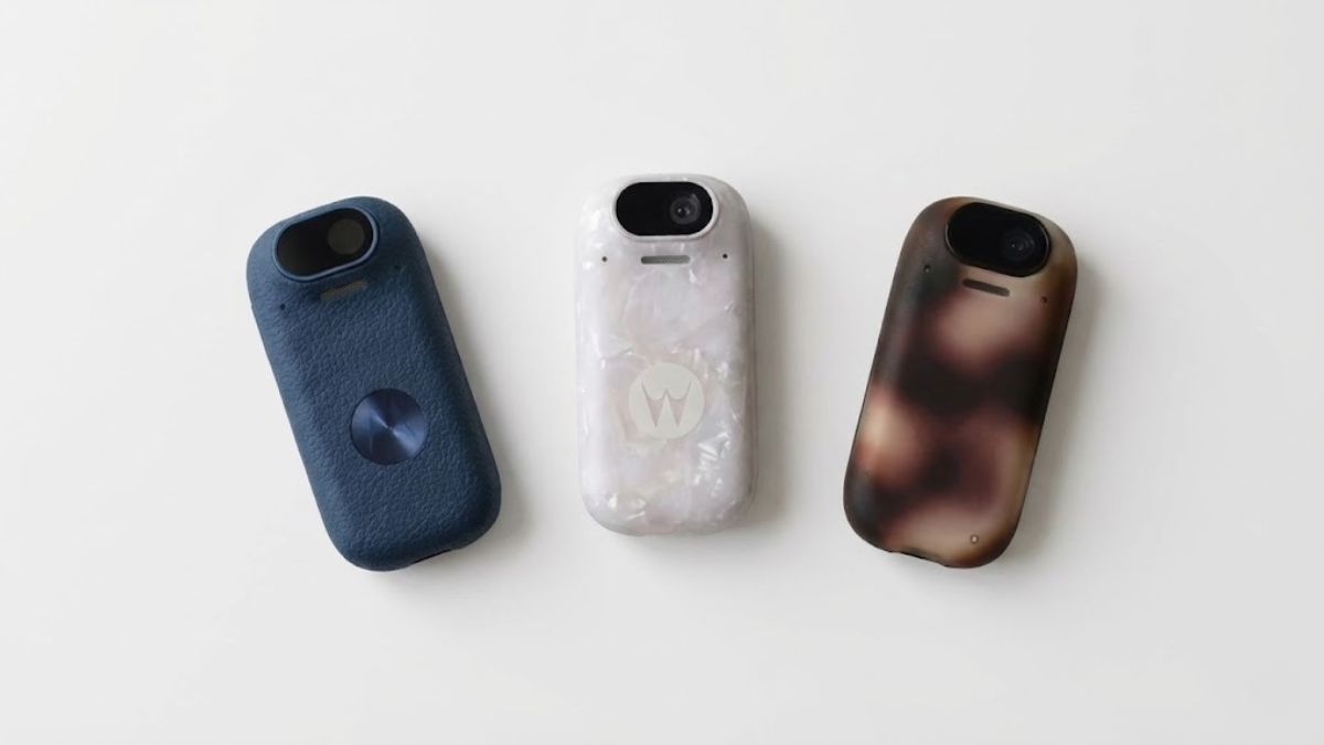 AI Perceptive Companion